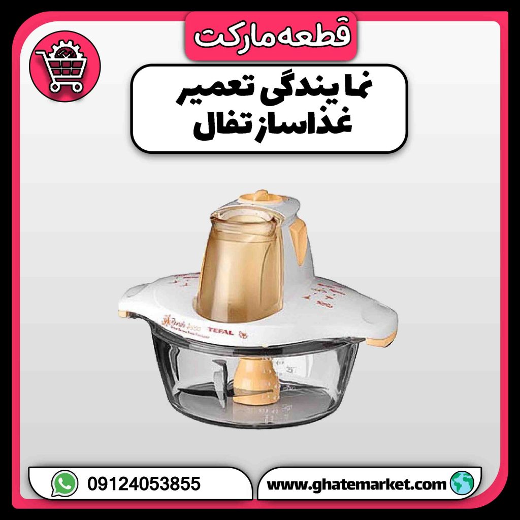 نمایندگی تعمیر غذاساز تفال