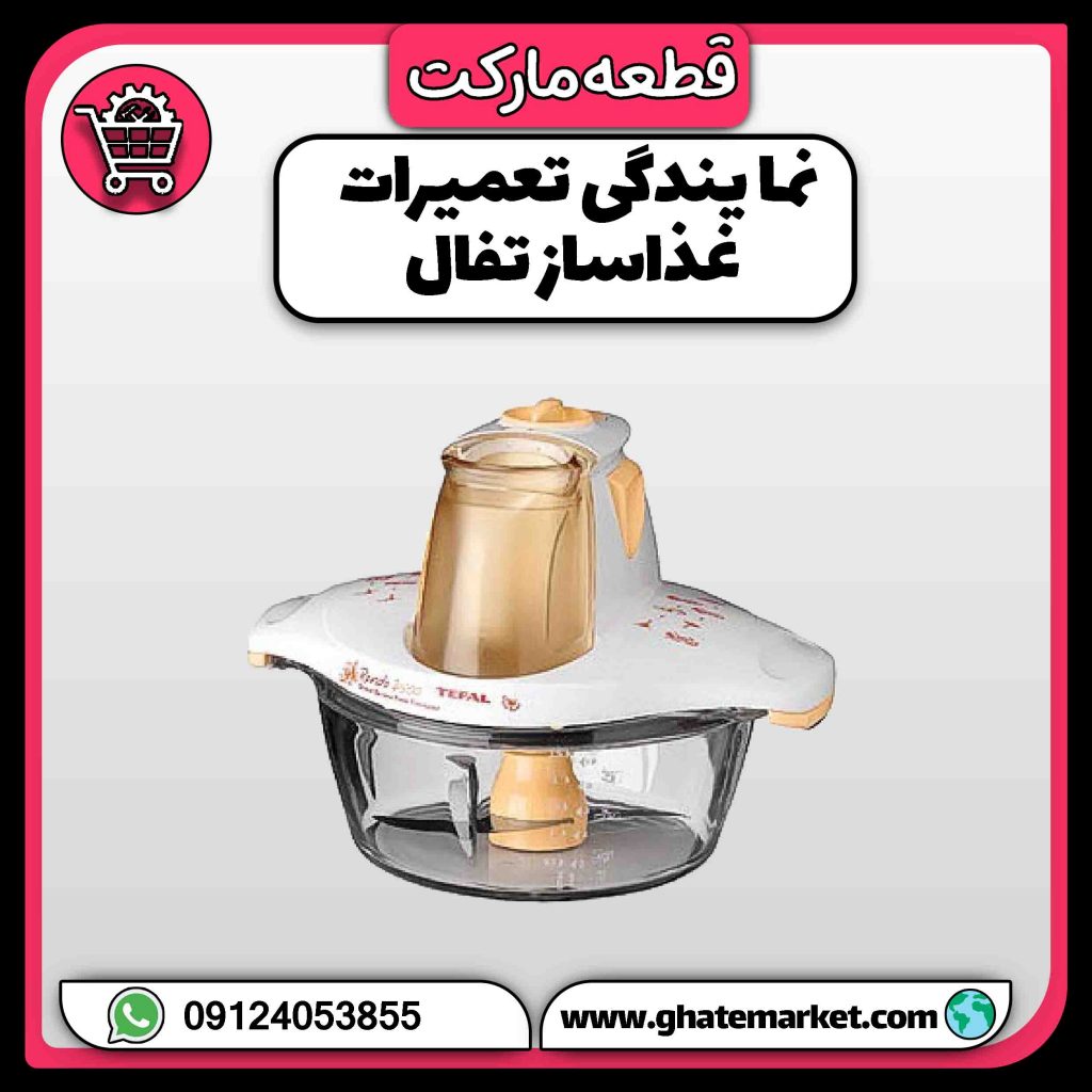 نمایندگی تعمیرات غذاساز تفال